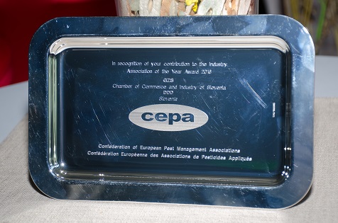 Arhiv: Sekcija izvajalcev DDD prejela priznanje evropske konfederacije CEPA